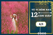 Tử vi hàng ngày hôm nay của 12 con giáp 4/1/2023: Tuất tài lộc bình ổn, Mùi tình duyên suôn sẻ