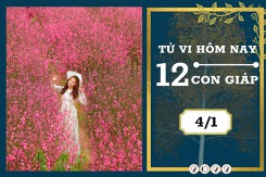 Tử vi hàng ngày hôm nay của 12 con giáp 4/1/2023: Tuất tài lộc bình ổn, Mùi tình duyên suôn sẻ