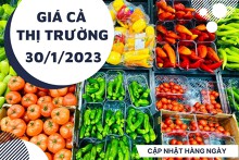 Giá cả thị trường hôm nay 30/1/2023: Mua rau củ quả giảm giá tại Co.op Mart