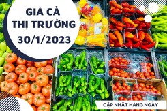 Giá cả thị trường hôm nay 30/1/2023: Mua rau củ quả giảm giá tại Co.op Mart