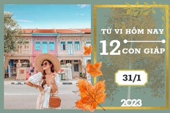 Tử vi hàng ngày hôm nay của 12 con giáp 31/1/2023: Sửu tài lộc tăng tiến, Tuất tình duyên ổn định