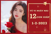 Tử vi ngày mai của 12 con giáp 1/2/2023: Mão tài lộc kém vượng, Thân tình cảm êm ấm