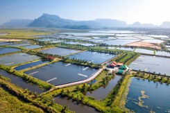 Giảm 30% tiền thuê đất, thuê mặt nước cho đối tượng bị ảnh hưởng bởi dịch Covid-19