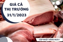 Giá cả thị trường hôm nay 31/1/2023: Thịt heo Meat Deli tiếp tục giảm giá hấp dẫn