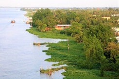 An Giang đề xuất làm cầu qua sông Tiền