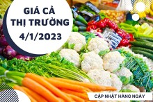 Giá cả thị trường hôm nay 4/1/2023: Rau củ quả tươi ngon có giá tốt ở các siêu thị