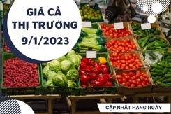 Giá cả thị trường hôm nay 9/1/2023: Bách Hóa Xanh lên kệ nhiều loại trái cây nhập khẩu