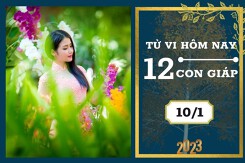 Tử vi hàng ngày hôm nay của 12 con giáp 10/1/2023: Tỵ tài lộc tăng tiến, Sửu tình duyên tốt đẹp