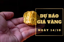 Dự báo giá vàng 14/10: Có thể lấy lại đà tăng vào phiên cuối tuần?