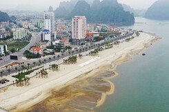 Nhà đầu tư Hà Nội kéo về Quảng Ninh săn condotel