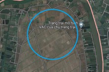 Đất có quy hoạch ở xã Ngũ Đoan, huyện Kiến Thụy, TP Hải Phòng