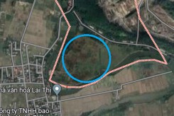 Đất có quy hoạch ở xã An Thắng, huyện An Lão, TP Hải Phòng