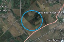 Đất có quy hoạch ở xã An Thọ, huyện An Lão, TP Hải Phòng