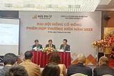 ĐHĐCĐ Hải Phát Invest: Cổ đông lo ngại xung đột lợi ích, đại diện nhóm Toàn Tín Phát lên tiếng
