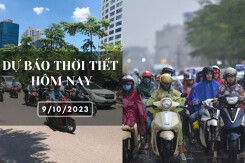 Dự báo thời tiết hôm nay 9/10/2023: Hà Nội trời nắng, Đà Nẵng và TP HCM có mưa rào rải rác