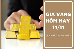 Giá vàng hôm nay 11/11: Giảm cao nhất 250.000 đồng/lượng phiên cuối tuần