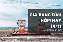 Giá xăng dầu hôm nay 14/11: Lấy lại đà tăng