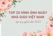 Top 20 hình ảnh ngày Nhà giáo Việt Nam đẹp và ý nghĩa nhất 2023