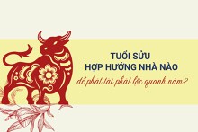 Tuổi Sửu hợp hướng nhà nào để phát tài phát lộc quanh năm?