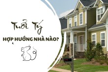 Tuổi Tý hợp hướng nhà nào để thu hút tài lộc?