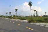 Đấu giá đất: Có nên phạt tiền hành vi bỏ cọc khi mất cọc đã là một hình phạt?