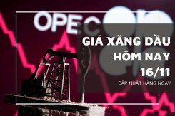 Giá xăng dầu hôm nay 16/11: Đồng loạt lao dốc