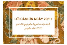 Top 20 lời cảm ơn ngày 20/11 gửi đến quý phụ huynh và học sinh ý nghĩa nhất 2023