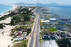 Khánh Hòa dự kiến duyệt quy hoạch toàn bộ 19 phân khu trong KKT Vân Phong vào cuối năm 2024