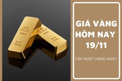 Giá vàng hôm nay 19/11: Vàng SJC điều chỉnh cao nhất 300.000 đồng/lượng trong tuần qua