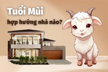 Tuổi Mùi hợp hướng nhà nào? Những hướng nhà tốt để vạn sự hanh thông