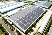 Lãnh đạo Bamboo Capital: Tạm ngưng hoạt động M&A, duy trì nguồn tiền dự trữ để tồn tại trong bối cảnh khó khăn