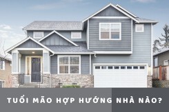 Tuổi mão hợp hướng nhà nào? Hướng xây nhà cho người tuổi Mão hút tài lộc