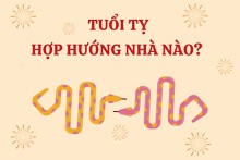 Tuổi Tỵ hợp hướng nhà nào? Chọn hướng nhà phù hợp để phát tài phát lộc