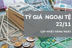 Tỷ giá ngoại tệ hôm nay 22/11: Nhiều ngân hàng điều chỉnh trái chiều