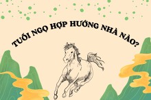 Tuổi Ngọ hợp hướng nhà nào? Chọn hướng hợp phong thuỷ để hút tài lộc