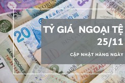 Tỷ giá ngoại tệ hôm nay 25/11: Tiếp đà tăng ở các chiều giao dịch