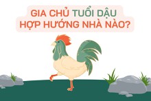 Gia chủ tuổi Dậu hợp hướng nhà nào chuẩn phong thuỷ?