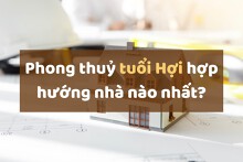 Phong thuỷ tuổi Hợi hợp hướng nhà nào nhất?