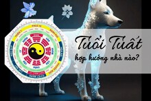 Tuổi Tuất hợp hướng nhà nào? Chọn hướng phong thủy hút tài lộc, tăng vận khí