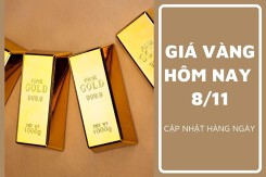 Giá vàng hôm nay 8/11: Ổn định, neo quanh mốc 69,9 triệu đồng/lượng