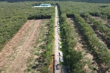 Đồng Nai sắp khởi công khu tái định cư gần 34 ha phục vụ cao tốc Biên Hòa - Vũng Tàu