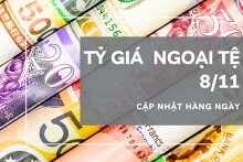 Tỷ giá ngoại tệ hôm nay 8/11: Giảm tại nhiều ngân hàng