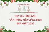 Top 10+ hình ảnh cây thông mùa Giáng sinh đẹp nhất 2023