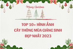 Top 10+ hình ảnh cây thông mùa Giáng sinh đẹp nhất 2023