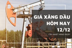 Giá xăng dầu hôm nay 12/12: Đồng loạt tăng nhẹ