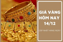 Giá vàng hôm nay 14/12: Vàng SJC quay trở lại mốc 74 triệu đồng/lượng