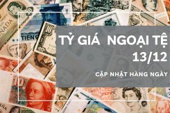 Tỷ giá ngoại tệ hôm nay 13/12: Được điều chỉnh trái chiều