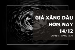 Giá xăng dầu hôm nay 14/12: Biến động trái chiều