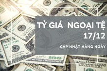 Tỷ giá ngoại tệ ngày 17/12: USD, euro, yen Nhật, bảng Anh, đô la Úc tuần qua