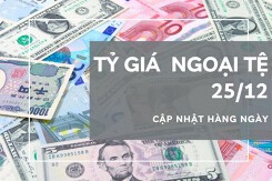 Tỷ giá ngoại tệ hôm nay 25/12: Được điều chỉnh không đồng nhất